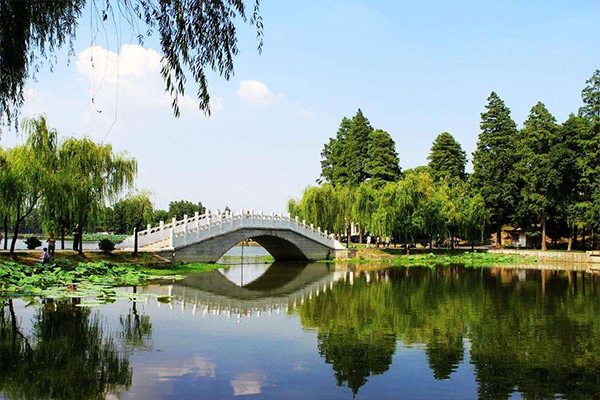 個人出國旅游的全流程指南：從準備到出行無遺漏